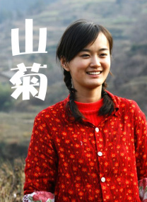 1080P手机在线看